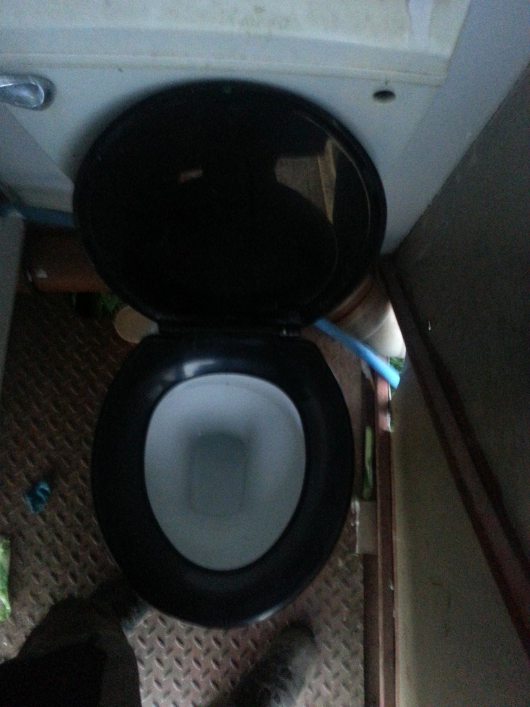 De vraies toilettes, a peu près propres... sans odeur infecte.