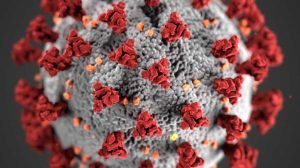 Lire la suite à propos de l’article Coronavirus